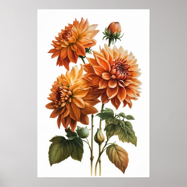 Orange Dahlias Flower Art Impressão Poster (Frente)
