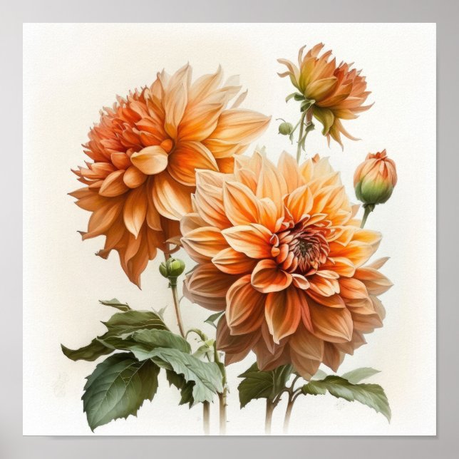 Orange Dahlias Flower Art Impressão Poster (Frente)