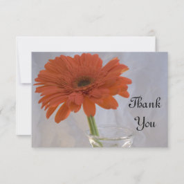 Orange Daisy in Vase Flat - Obrigado Notas