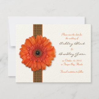 Orange Gerbera Daisy Salve o Cartão de Data