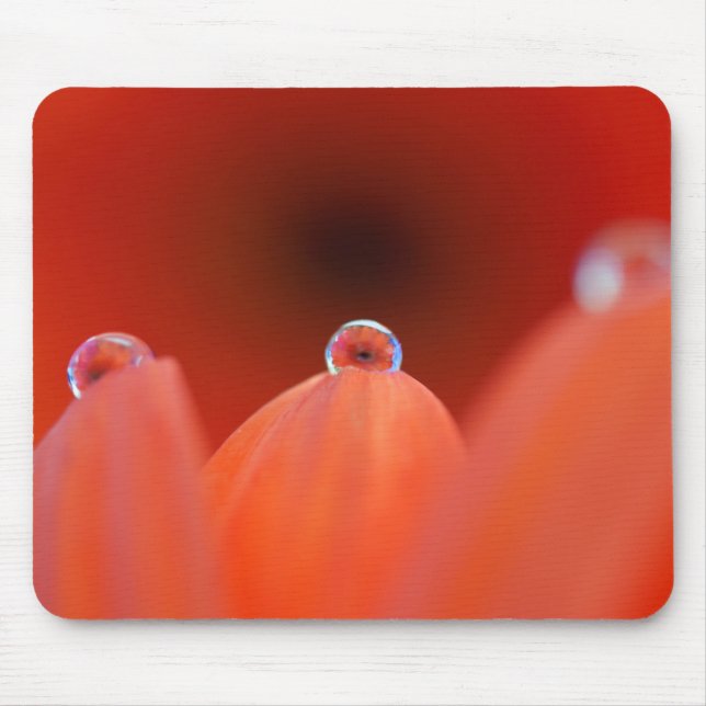 Orange Gerbera Refraction Mousepad (Frente)