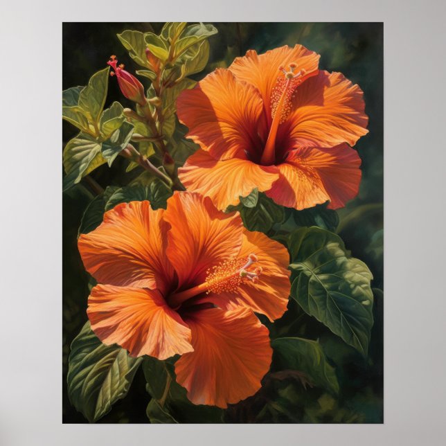 Orange Hibiscus Flowers Art Impressão (Frente)