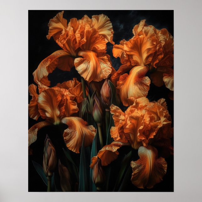 Orange Iris Flowers Art Impressão (Frente)