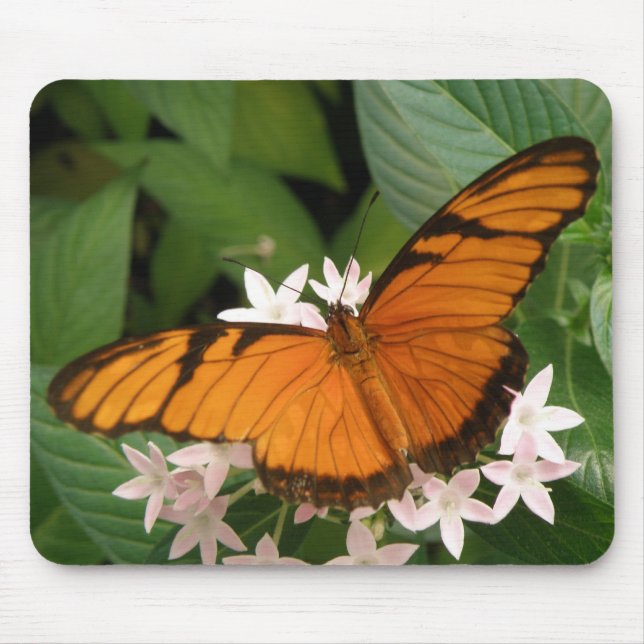 Orange Julia Butterfly Mousepad (Frente)