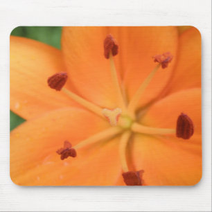 Orange Lily Floral Mousepad
