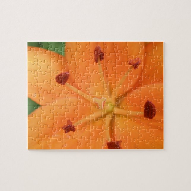 Orange Lily Floral Quebra-cabeça (Horizontal)