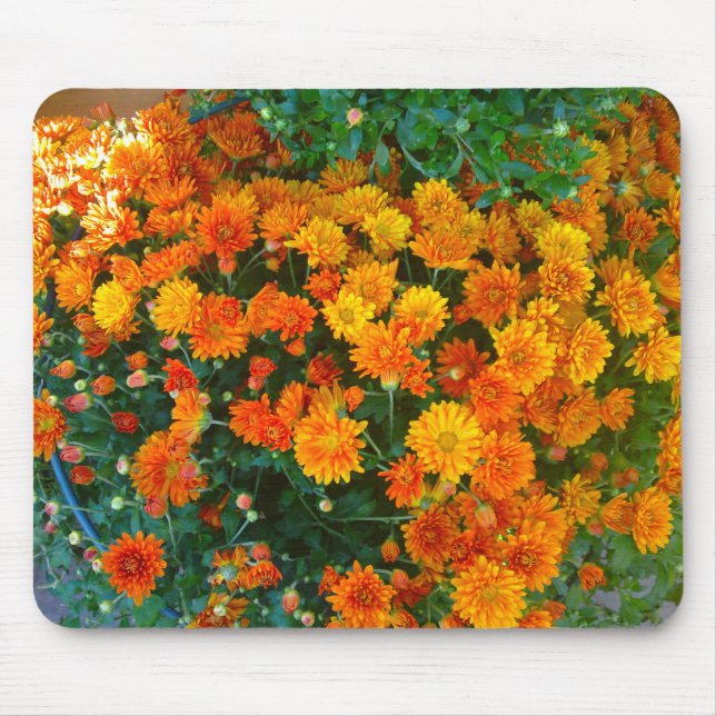 Orange Margarita Daisy Mousepad (Frente)