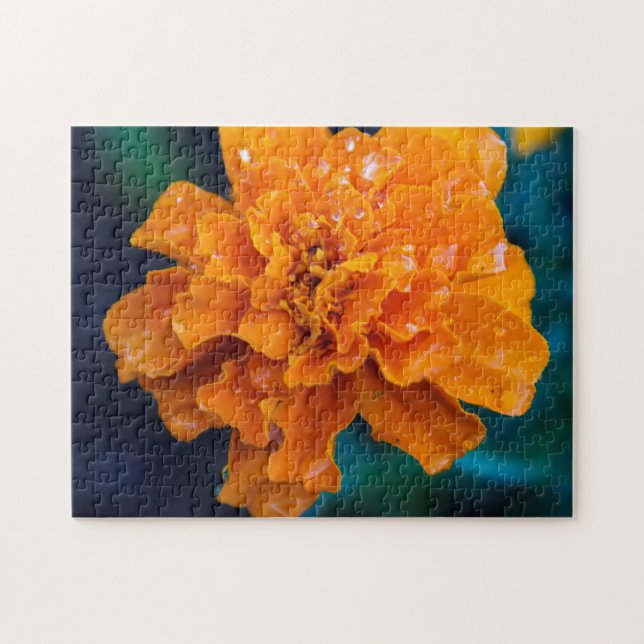 Orange Marigold Quebra-cabeça (Horizontal)