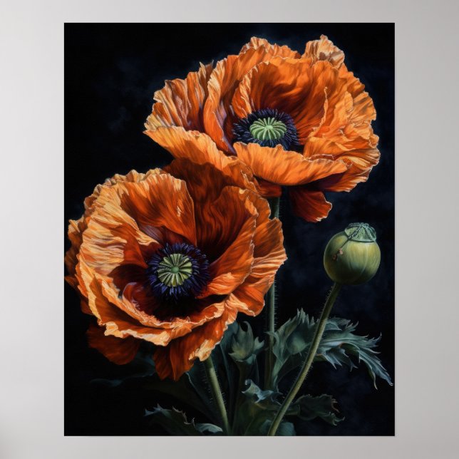 Orange Oriental Poppy Flowers Art Impressão Poster (Frente)