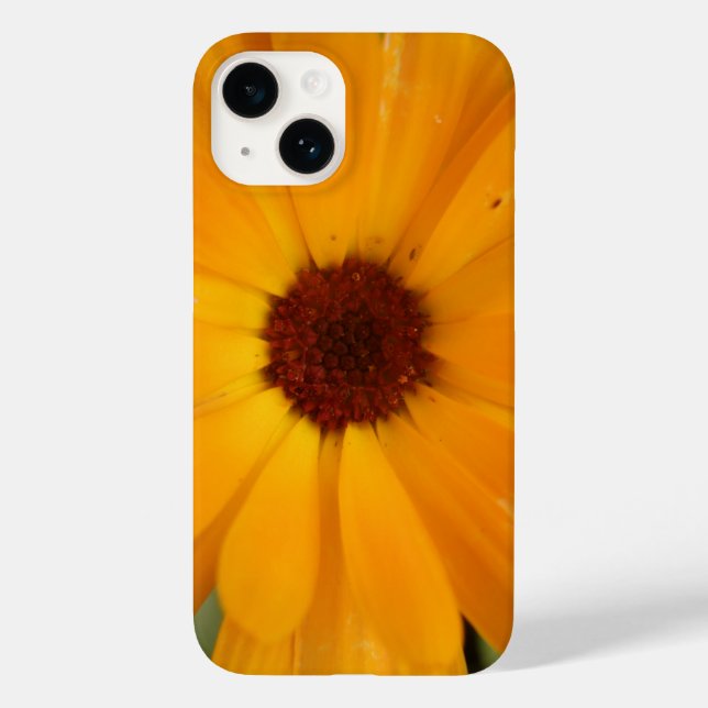 Orange Rain Daisy iPhone 5 Case (Verso)