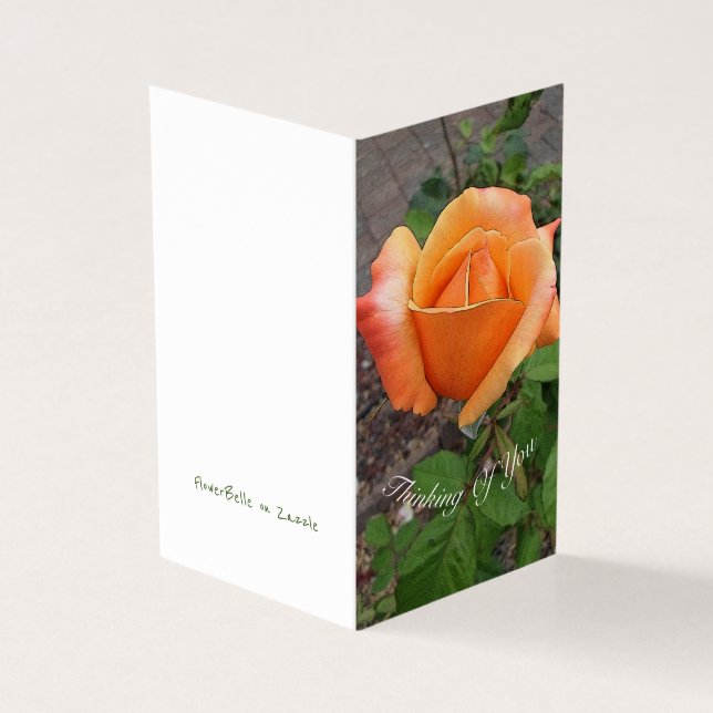 Orange Rosebud (Exterior)