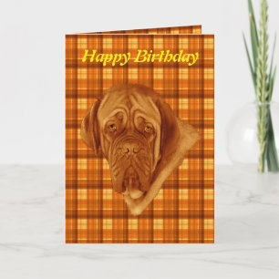 Orange Tartan French Bordeaux Dog, Cartão de Aniv