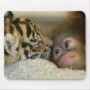 Orangotango e tigre Mousepad