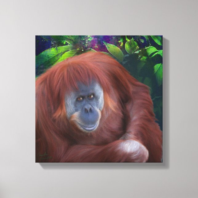 Orangutan 14x14 Canvas estendida (Frente)