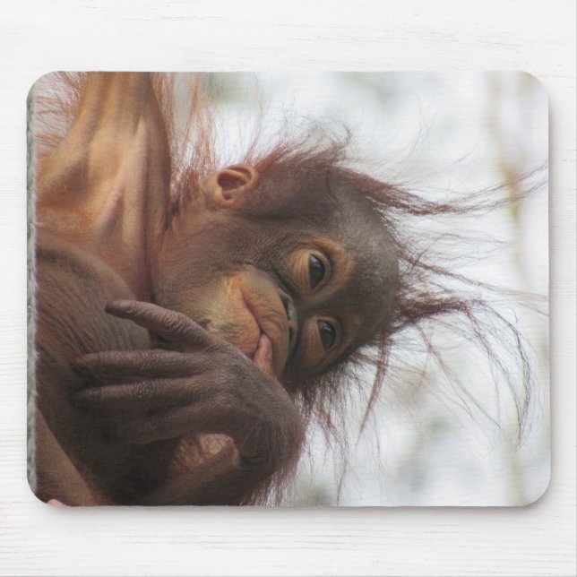 Orangutan Baby Mousepad (Frente)