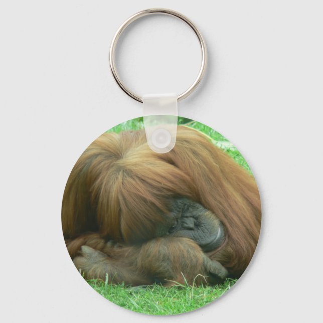 Orangutan Snoozing Chaveiro (Frente)