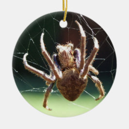 Orb de Jardim Weaver Ornamento Aranha