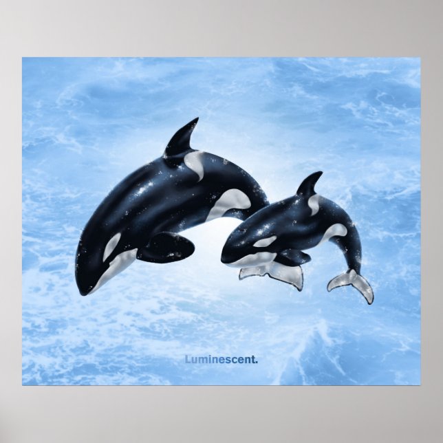 Orca - Poster (Frente)