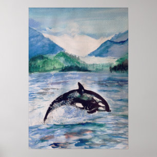 Orca, poster do valor do desenho da aguarela da