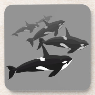 Orca Whale Porta copos Killer Whale Art Porta copo