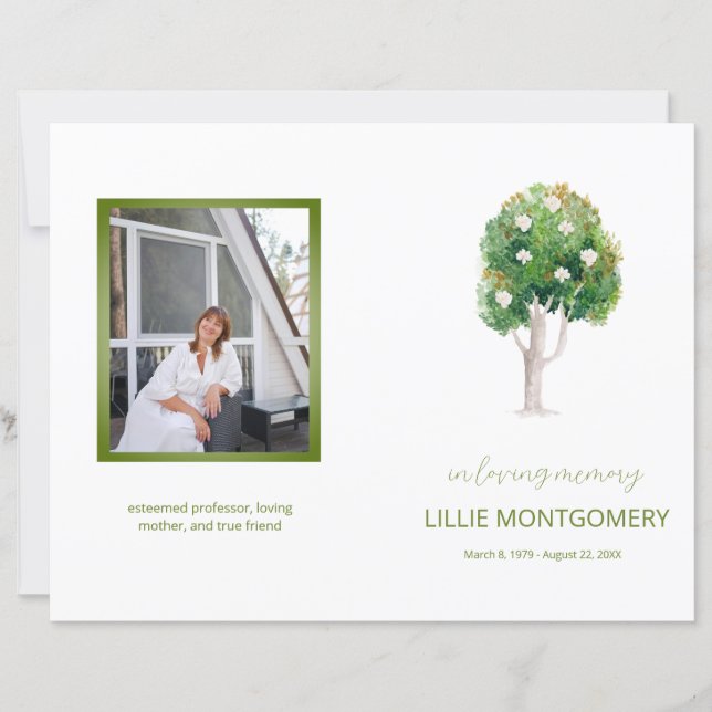 Orçamento 4 páginas Programa Funeral da Árvore Mag (Frente)