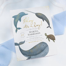 Orçamento Ahoy É um Menino Animais Marinhos Fofos