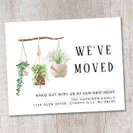 Orçamento Boho Novas Plantas House Anúncio de Movi