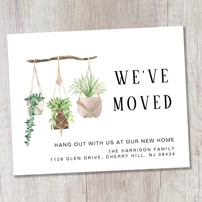 Orçamento Boho Novas Plantas House Anúncio de Movi (Criador carregado)