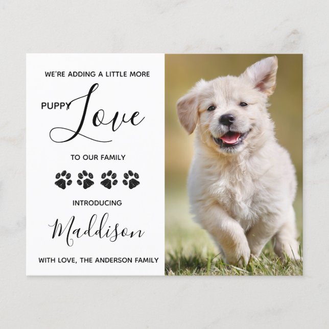 Orçamento Cachorro Adormecido Novo Anúncio Pet (Frente)