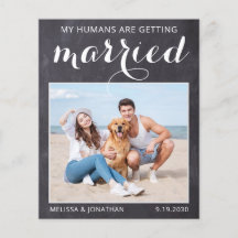 Orçamento de Foto para Casamento de Cachorro Russo
