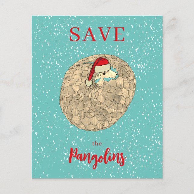 Orçamento de Natal Personalizado de Pangolim Fofo (Frente)