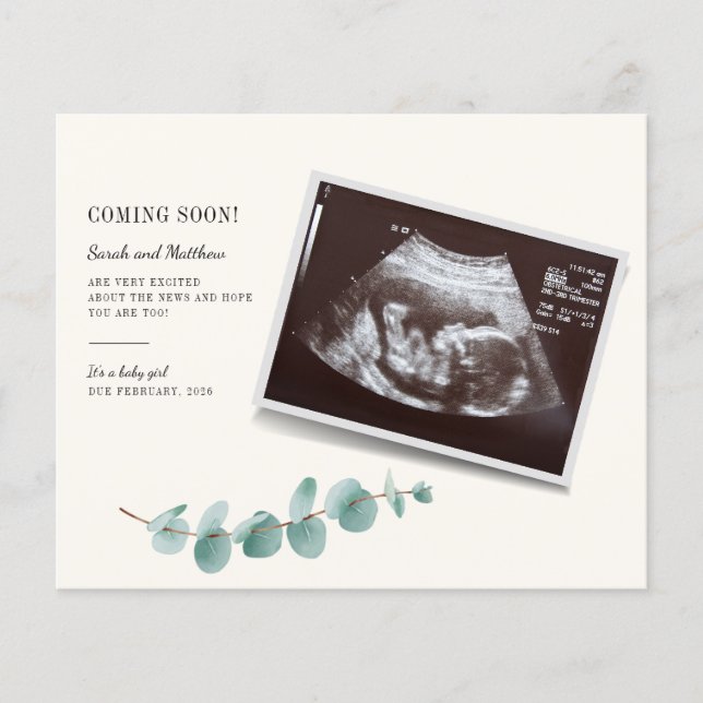 Orçamento Eucalyptus Foliage Gravidez Baby Revemen (Frente)
