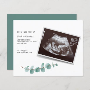 Orçamento Eucalyptus Greenerescência Gravidez