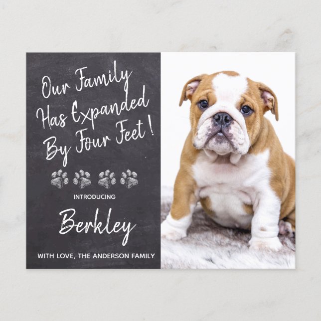 Orçamento Expandido por Quatro Pés Novo Pet Puppy  (Frente)