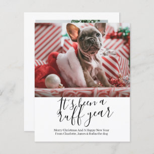 ORÇAMENTO Foi um Natal de Cachorro de Ruff