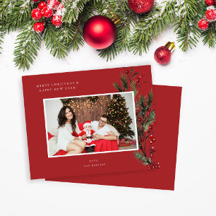 Orçamento Holly Berry H Foto Feriado ou Natal R