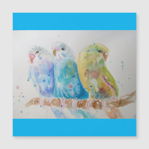 Orçamento Imobilizado de Pássaros Pintados Aqua 