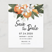 Orçamento Laranja Citrus Greenerescência Salva Car