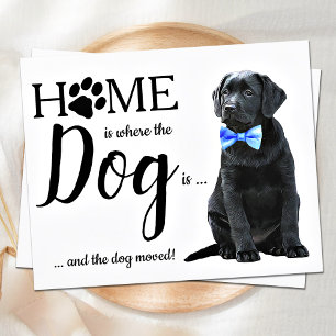 Orçamento Movimentamos Anúncio de Movimentação de 