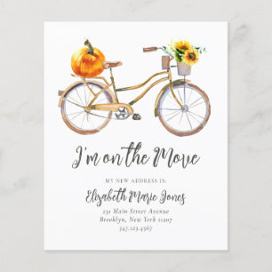 Orçamento Mudei Abóbora Girassol Bicicleta Mudança