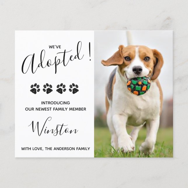 Orçamento Novo Cachorrinho Que Adotamos Anúncio Ca (Frente)