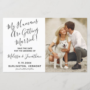 Orçamento Que Meus Humanos Estão Casando Com Casam