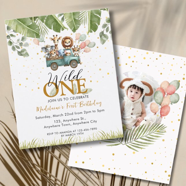 Orçamento Safari Foto 1rua Selvagem 1 Primeiro Ani (Criador carregado)