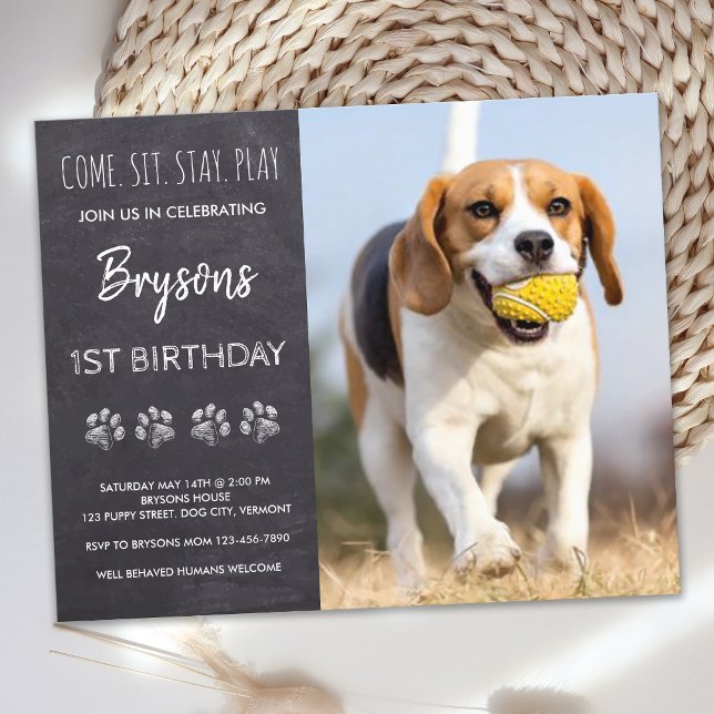 Orçamento Sente-Se Fique Calado Cachorro Cachorro  (Criador carregado)