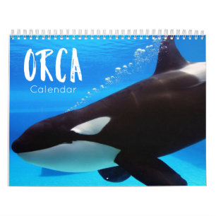 orcas engraçadas e fofinhas do calendário orca 2