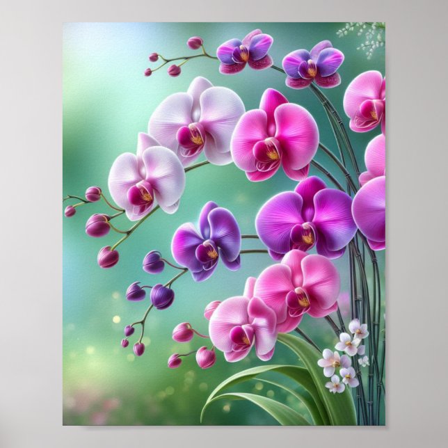 Orchid Bliss poster (Frente)