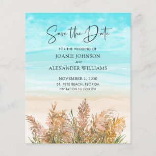 Ordenação de Pampas de Orçamento Praias Salvem 