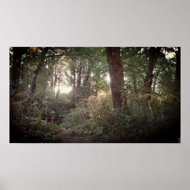 Oregon Magic - Poster (Frente)