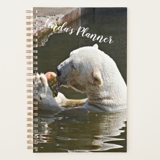 Organizador de Urso Polar Comendo Fruta (Frente)