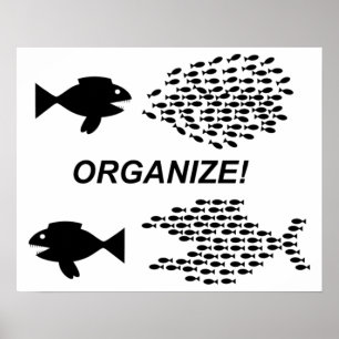 Organizar poster